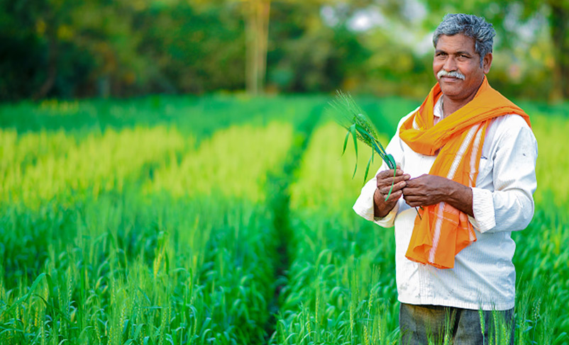 बैनर छवि