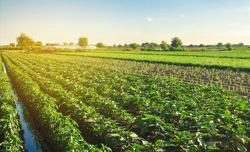 बैनर छवि 2