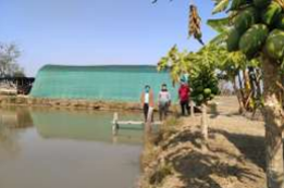 मछली घटक