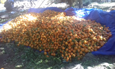 Description of image