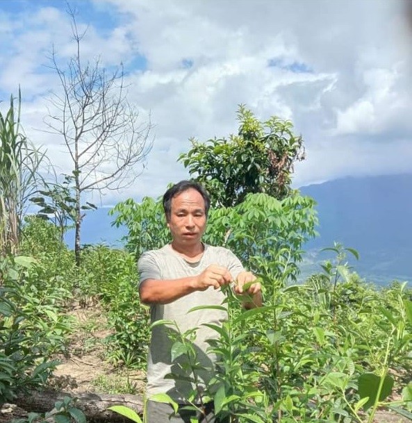 Description of image