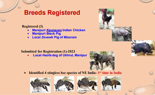 Description of the image