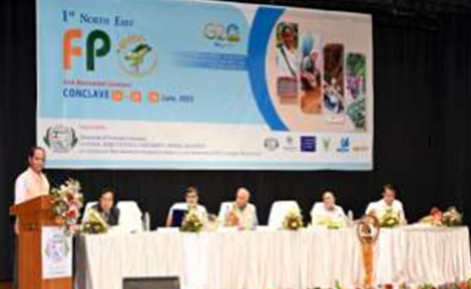 Description of the image