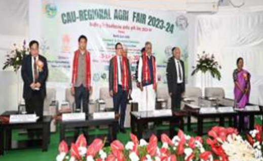 Description of the image