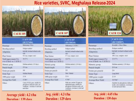 Description of the image