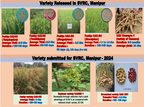 Description of the image