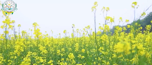 Bundelkhand Krishi Sandesh jhansi